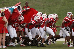 米兰体育官方网站-全国青少年山地车赛在西部山区热烈举行,全国青少年自行车赛